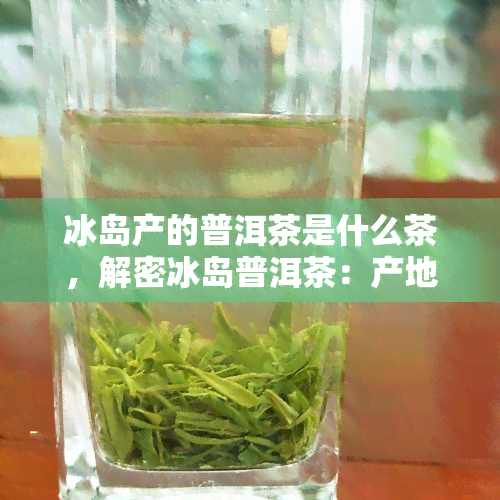 冰岛产的普洱茶是什么茶，解密冰岛普洱茶：产地、品种及特点全解析