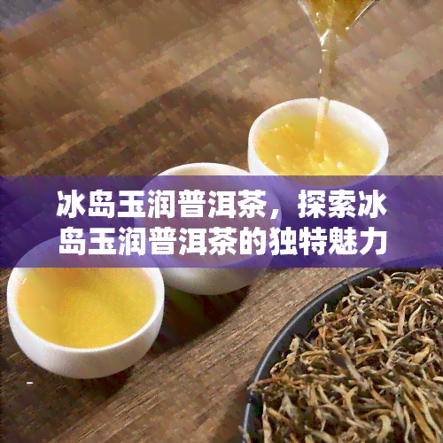 冰岛玉润普洱茶，探索冰岛玉润普洱茶的独特魅力与口感