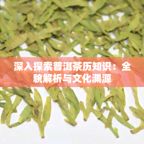 深入探索普洱茶历知识：全貌解析与文化渊源