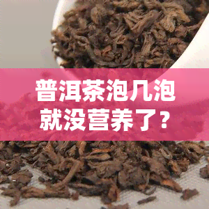 普洱茶泡几泡就没营养了？正确冲泡方法大揭秘！