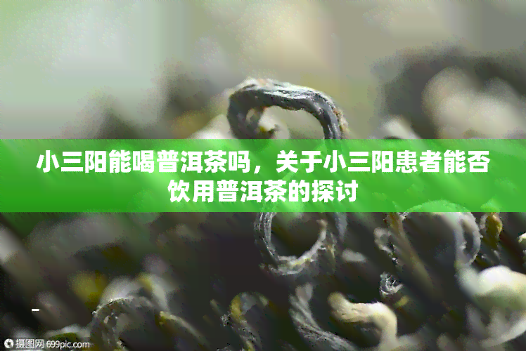 小三阳能喝普洱茶吗，关于小三阳患者能否饮用普洱茶的探讨