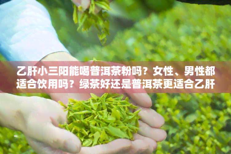 乙肝小三阳能喝普洱茶粉吗？女性、男性都适合饮用吗？绿茶好还是普洱茶更适合乙肝患者？能否喝浓茶？