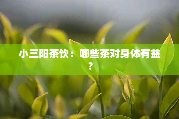 小三阳茶饮：哪些茶对身体有益？