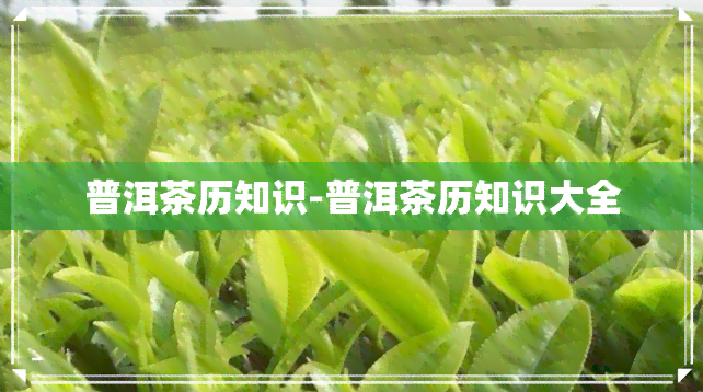 普洱茶历知识-普洱茶历知识大全