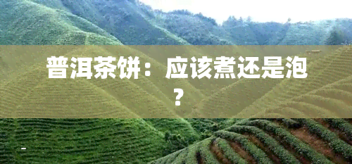 普洱茶饼：应该煮还是泡？