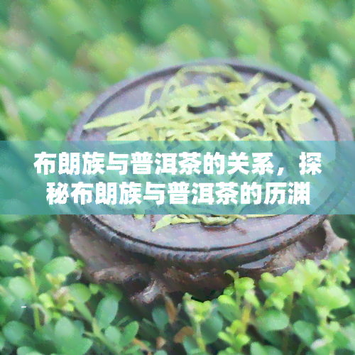 布朗族与普洱茶的关系，探秘布朗族与普洱茶的历渊源和文化联系