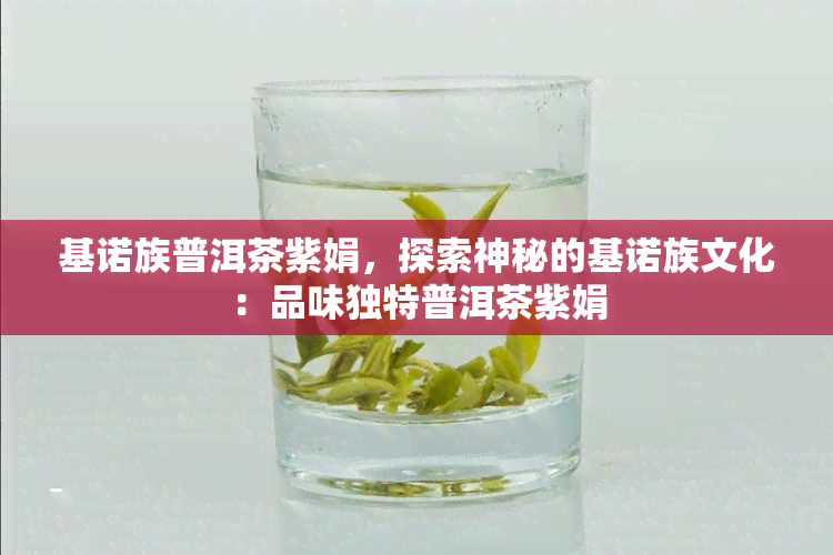 基诺族普洱茶紫娟，探索神秘的基诺族文化：品味独特普洱茶紫娟