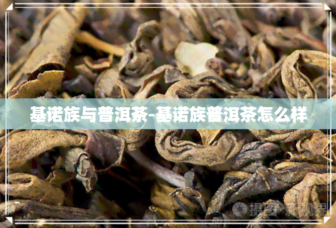 基诺族与普洱茶-基诺族普洱茶怎么样