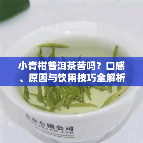 小青柑普洱茶苦吗？口感、原因与饮用技巧全解析