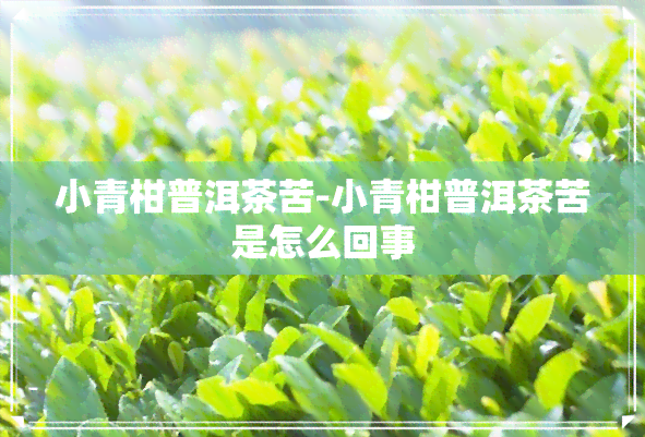 小青柑普洱茶苦-小青柑普洱茶苦是怎么回事