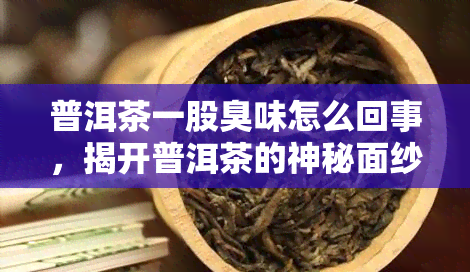 普洱茶一股臭味怎么回事，揭开普洱茶的神秘面纱：为什么会有股臭味？