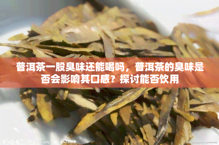 普洱茶一股臭味还能喝吗，普洱茶的臭味是否会影响其口感？探讨能否饮用