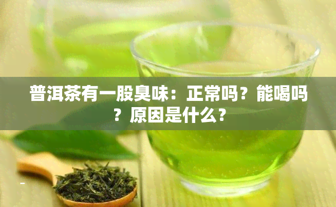 普洱茶有一股臭味：正常吗？能喝吗？原因是什么？