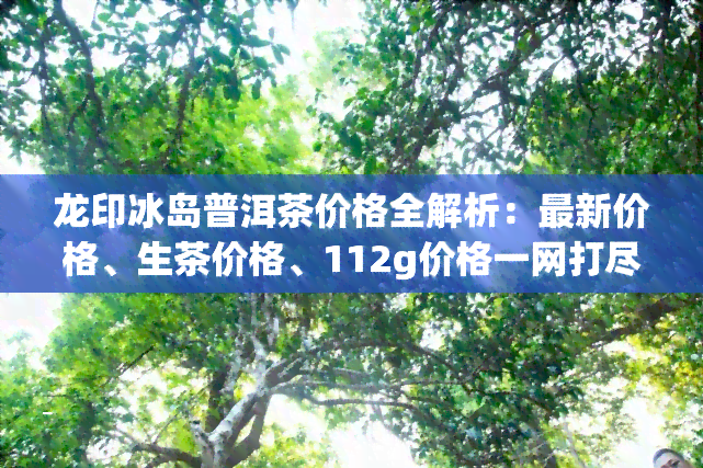 龙印冰岛普洱茶价格全解析：最新价格、生茶价格、112g价格一网打尽，附带犇龙冰岛普洱茶价格及龙印茶叶价格信息