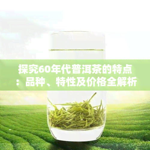 探究60年代普洱茶的特点：品种、特性及价格全解析