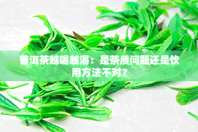 普洱茶越喝越渴：是茶质问题还是饮用方法不对？