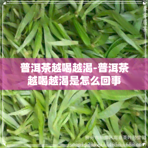 普洱茶越喝越渴-普洱茶越喝越渴是怎么回事