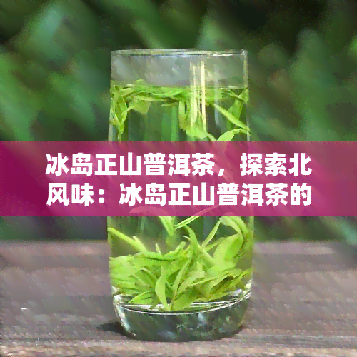 冰岛正山普洱茶，探索北风味：冰岛正山普洱茶的魅力