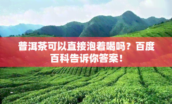 普洱茶可以直接泡着喝吗？百度百科告诉你答案！