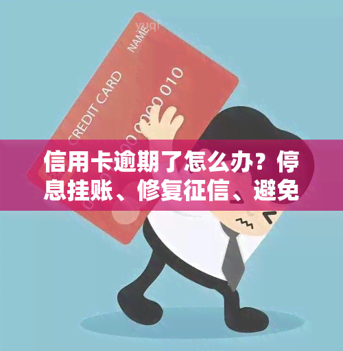 信用卡逾期了怎么办？停息挂账、修复、避免严重后果及解决方法全解析