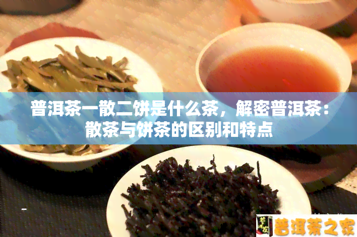 普洱茶一散二饼是什么茶，解密普洱茶：散茶与饼茶的区别和特点