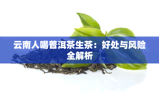 云南人喝普洱茶生茶：好处与风险全解析