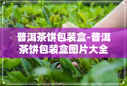 普洱茶饼包装盒-普洱茶饼包装盒图片大全