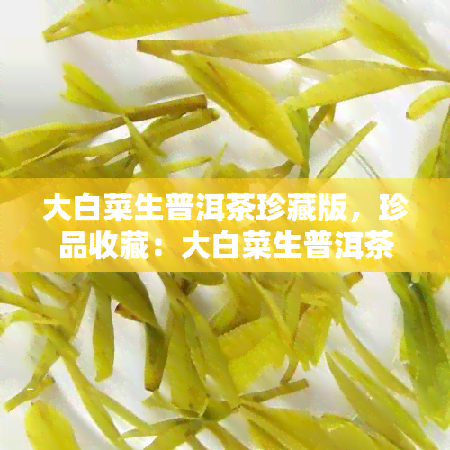 大白菜生普洱茶珍藏版，珍品收藏：大白菜生普洱茶，品味岁月留香