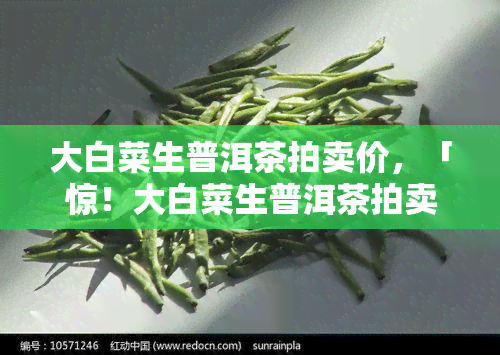 大白菜生普洱茶拍卖价，「惊！大白菜生普洱茶拍卖价竟达数百万！」