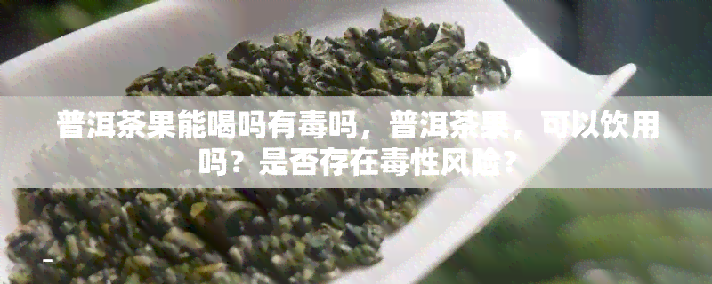 普洱茶果能喝吗有吗，普洱茶果，可以饮用吗？是否存在性风险？