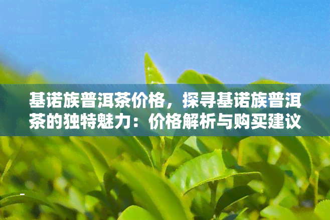 基诺族普洱茶价格，探寻基诺族普洱茶的独特魅力：价格解析与购买建议