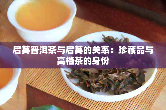 启英普洱茶与启英的关系：珍藏品与高档茶的身份