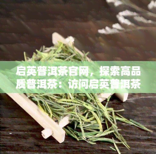 启英普洱茶官网，探索高品质普洱茶：访问启英普洱茶官网