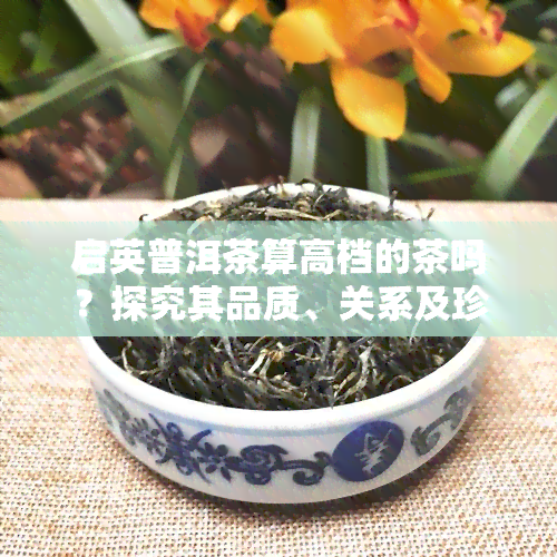 启英普洱茶算高档的茶吗？探究其品质、关系及珍藏品价值，附7581砖茶价格