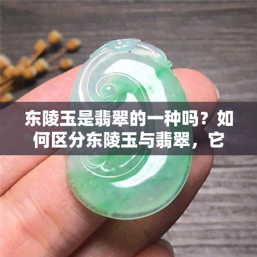 东陵玉是翡翠的一种吗？如何区分东陵玉与翡翠，它们的价值如何？