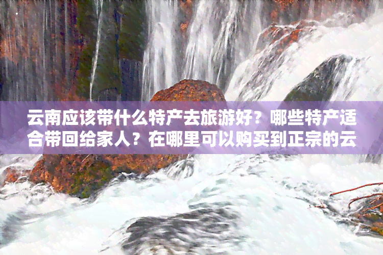 云南应该带什么特产去旅游好？哪些特产适合带回给家人？在哪里可以购买到正宗的云南特产？