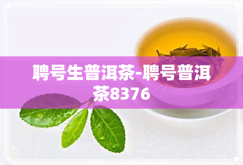 聘号生普洱茶-聘号普洱茶8376