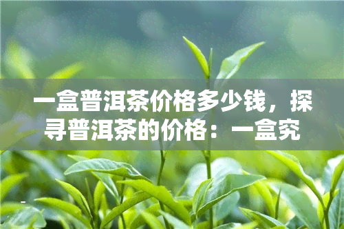 一盒普洱茶价格多少钱，探寻普洱茶的价格：一盒究竟值多少？