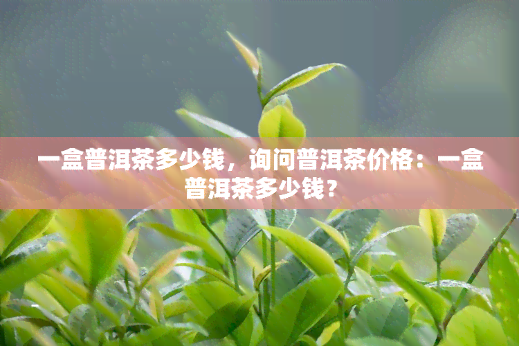 一盒普洱茶多少钱，询问普洱茶价格：一盒普洱茶多少钱？