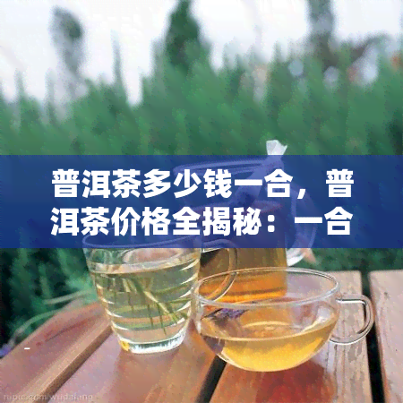 普洱茶多少钱一合，普洱茶价格全揭秘：一合要多少钱？