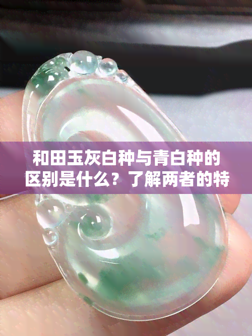 和田玉灰白种与青白种的区别是什么？了解两者的特点及优劣