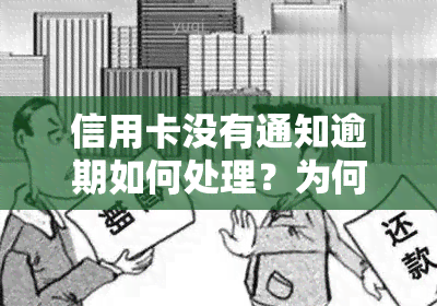 信用卡没有通知逾期如何处理？为何还款提醒缺失，现在逾期不再电话通知？