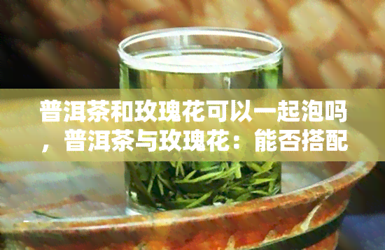 普洱茶和玫瑰花可以一起泡吗，普洱茶与玫瑰花：能否搭配冲泡？