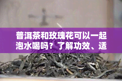 普洱茶和玫瑰花可以一起泡水喝吗？了解功效、适合人群及注意事！