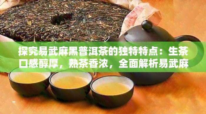 探究易武麻黑普洱茶的独特特点：生茶口感醇厚，熟茶香浓，全面解析易武麻黑茶的魅力