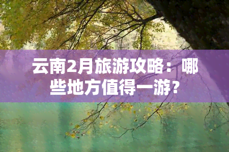 云南2月旅游攻略：哪些地方值得一游？