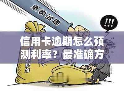 信用卡逾期怎么预测利率？最准确方法是什么？计算方式及谈判技巧全解析