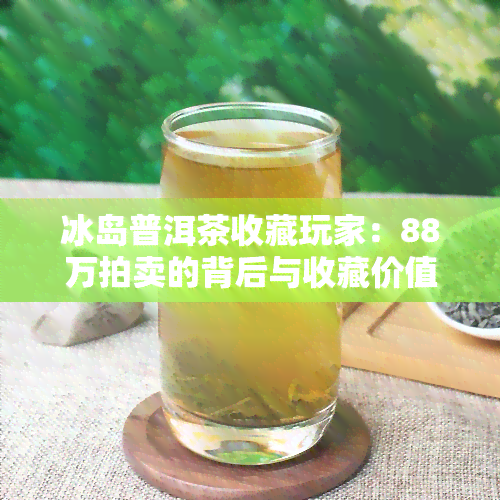 冰岛普洱茶收藏玩家：88万拍卖的背后与收藏价值探讨