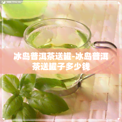 冰岛普洱茶送罐-冰岛普洱茶送罐子多少钱