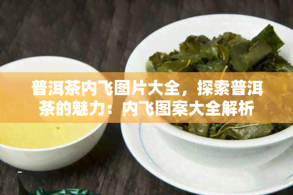 普洱茶内飞图片大全，探索普洱茶的魅力：内飞图案大全解析